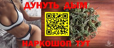 крисы Кандалакша