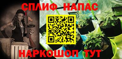 крисы Кандалакша
