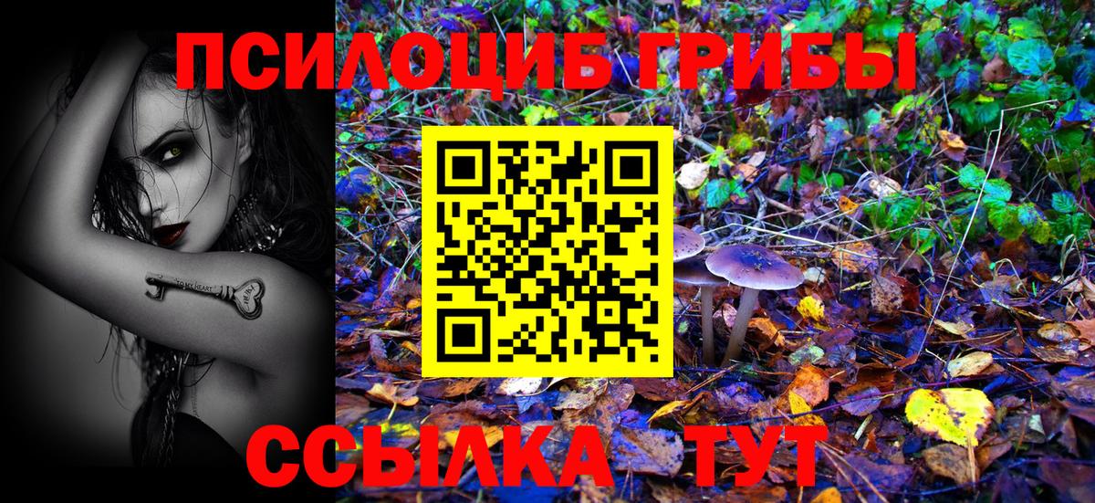 Псилоцибиновые грибы прущие грибы  Вход с VPN  Тимашёвск 